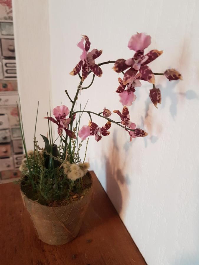 Bed and Breakfast Cudoille Armous-et-Cau Esterno foto